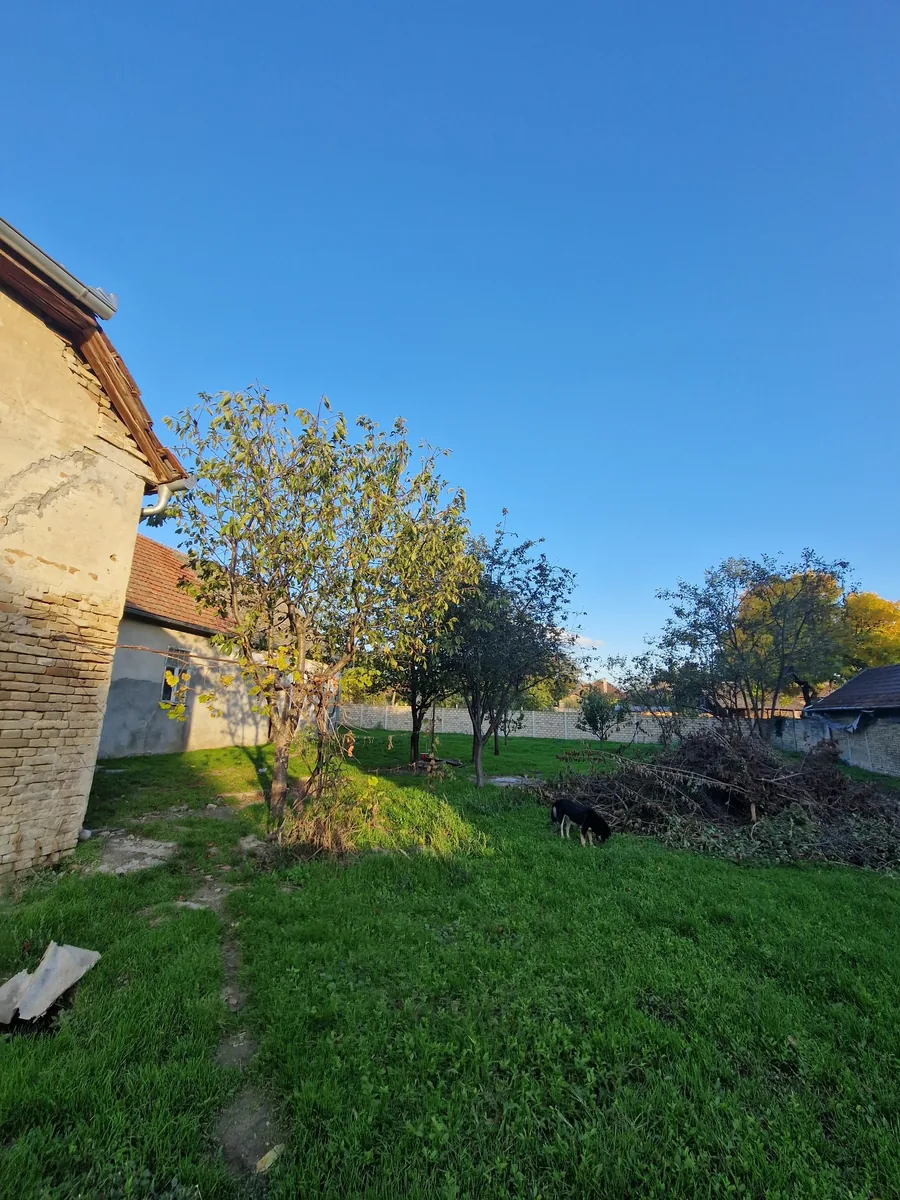 Courtyard and garage area - ICONIC Real Estate