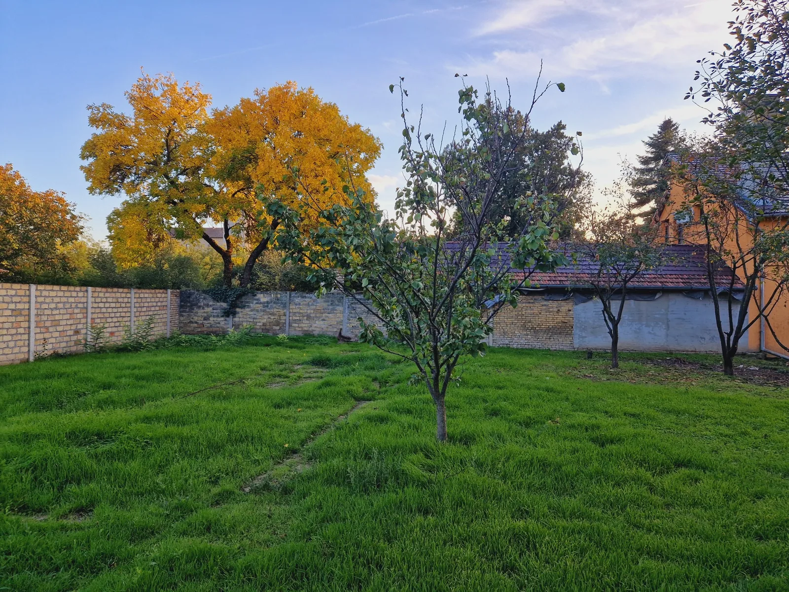 Large green yard - ICONIC Real Estate