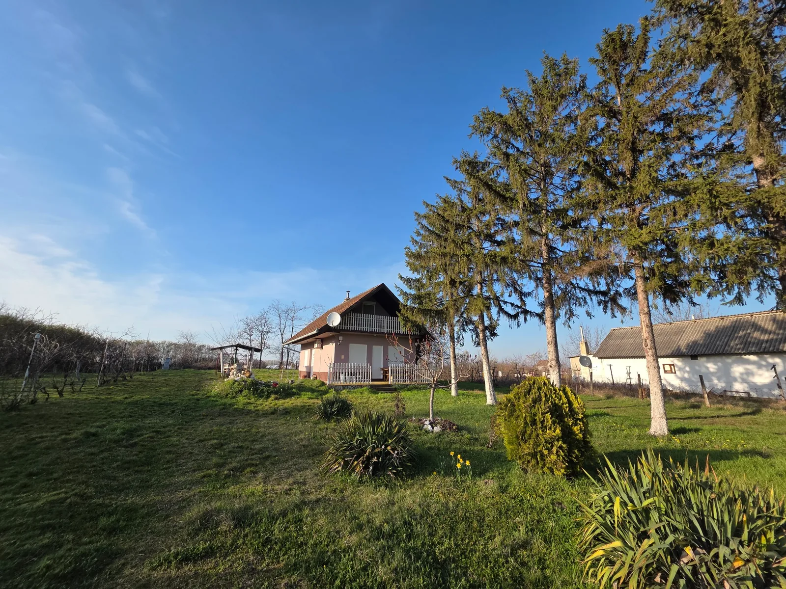 Large green plot - ICONIC Real Estate