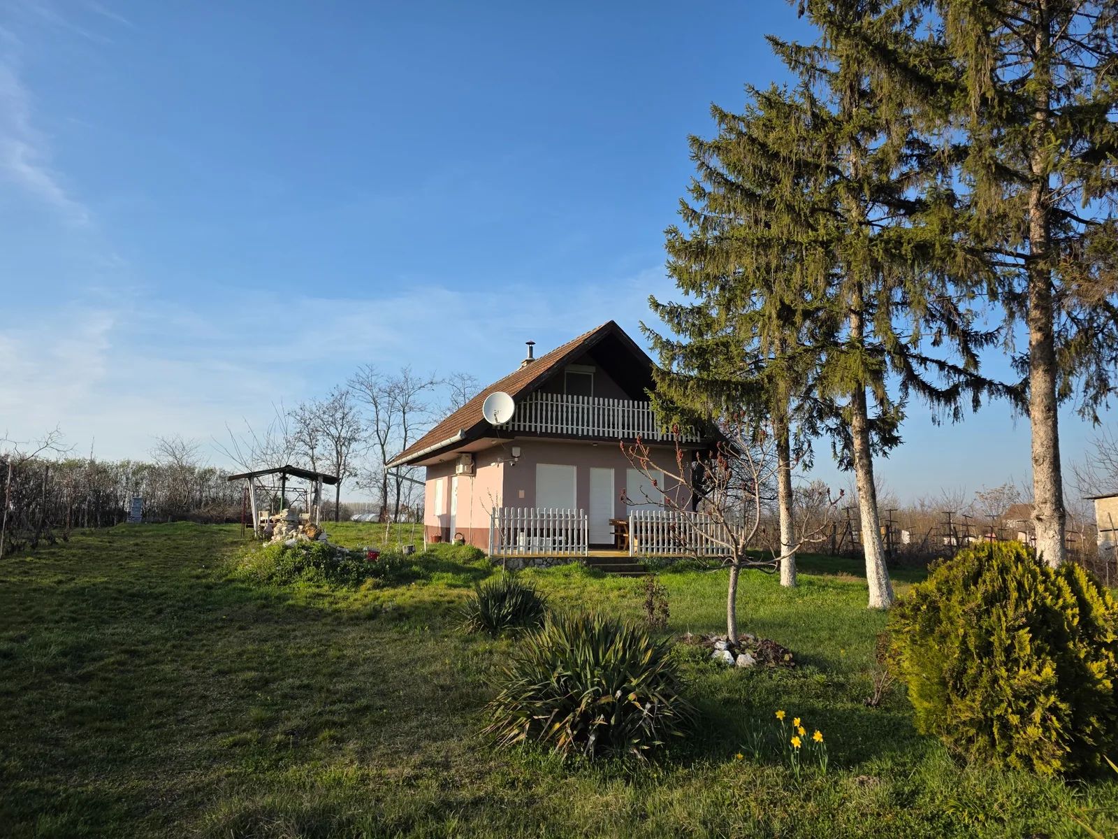 Evergreen trees and privacy - ICONIC Real Estate