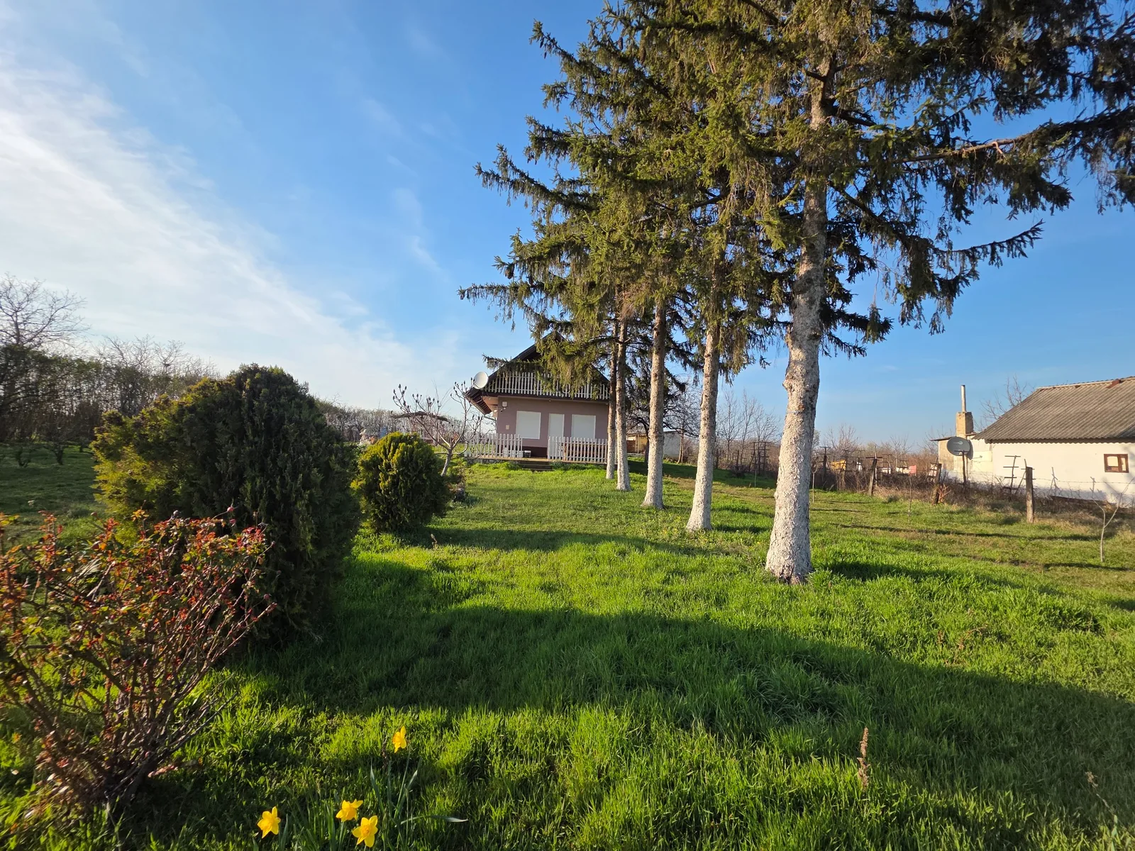 Open field views - ICONIC Real Estate